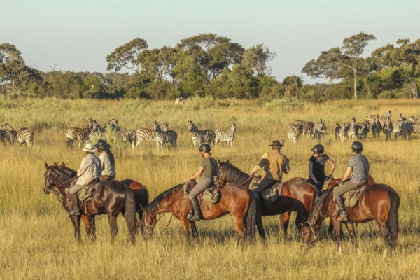 Six horseback riders watching zebra herd