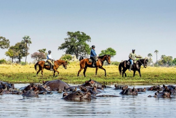 Horse riding at Kujwana with Okavango Horse Safaris
