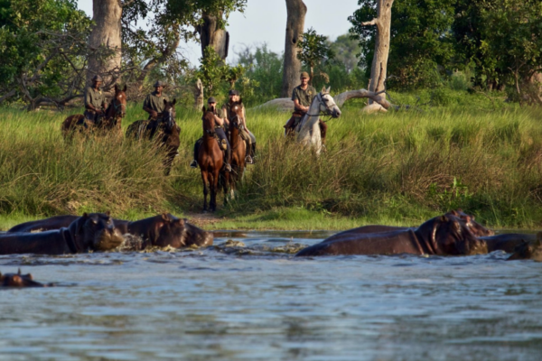 Horse riding at Kujwana with Okavango Horse Safaris