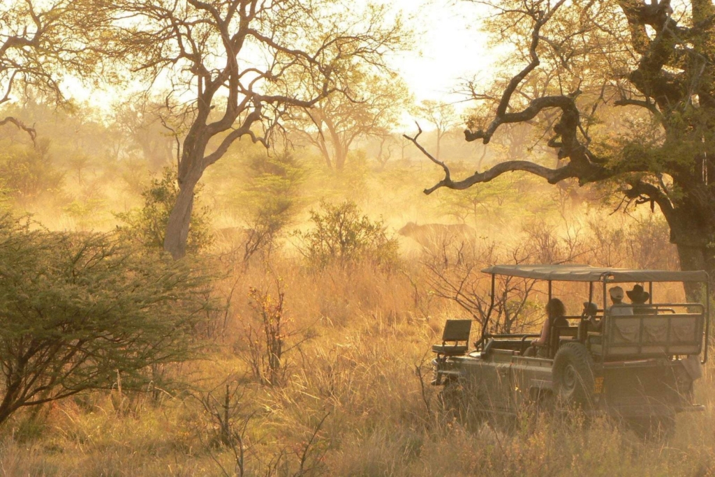 Game drive at dusty sunset