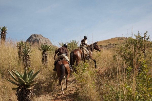 Horse riding Swaziland