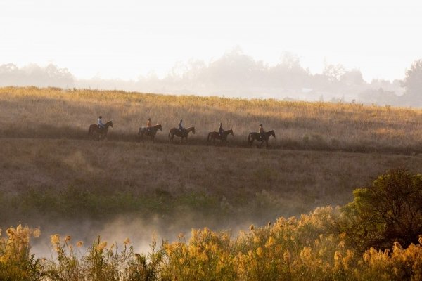 Horse riders on a ridge in the mist