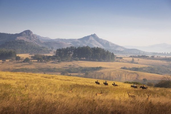 Horse riding in grassland with mountains