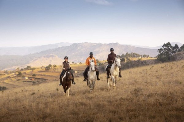 Three horses ridden side by side in Eswatini