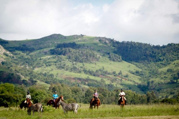 Ride with antelope in Eswatini