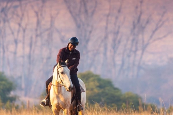 Swazi man on white horse