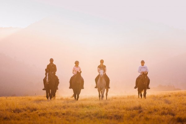 Four horsemen at sunset
