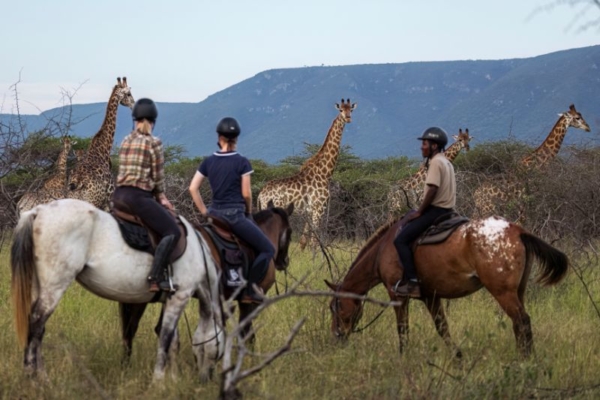Riders on horseback seeing a herd of giraffes during a ride in Eswatini