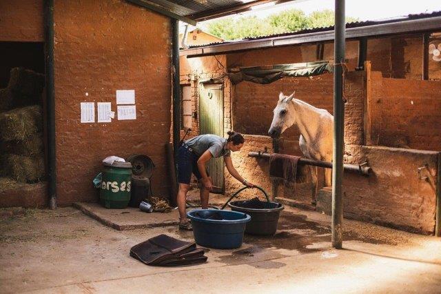 Girl filling up horse water buckets