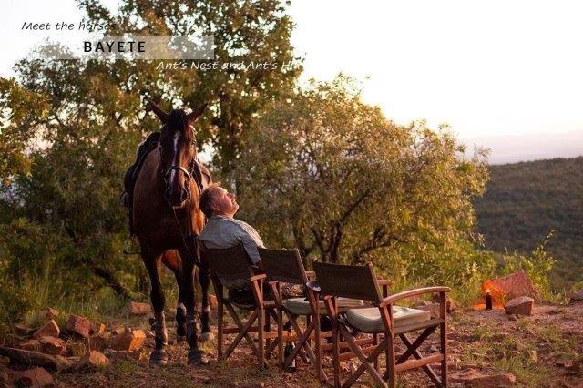 Man sitting in chair talking to horse