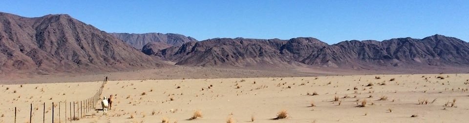 A Tale from Namibia in the Saddle