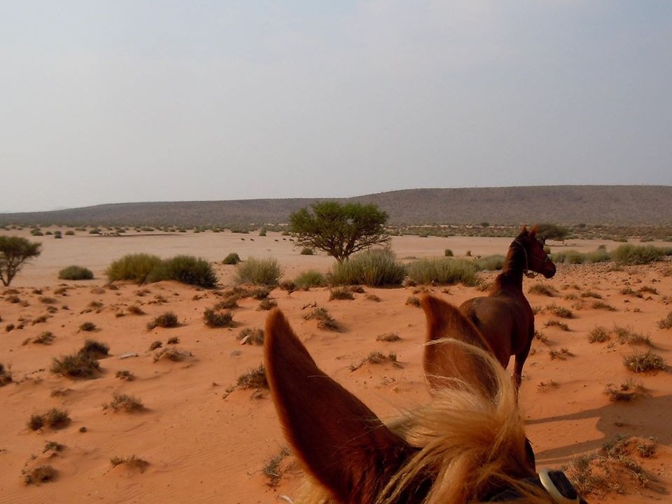 Between horses ears in Namibia