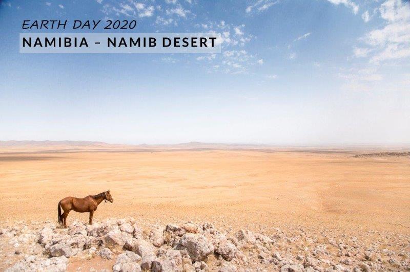 horse in rocky desert