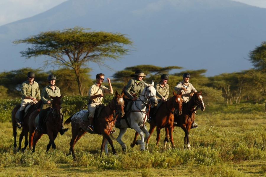 Safari horses cantering in Serengeti