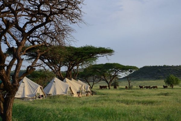 Serengeti mobile tented camp