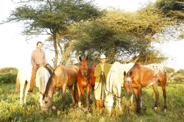Horses and riders under Acacia Trees