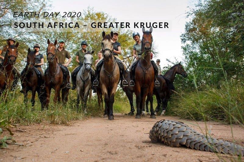 horse riding with pangolin in South Africa