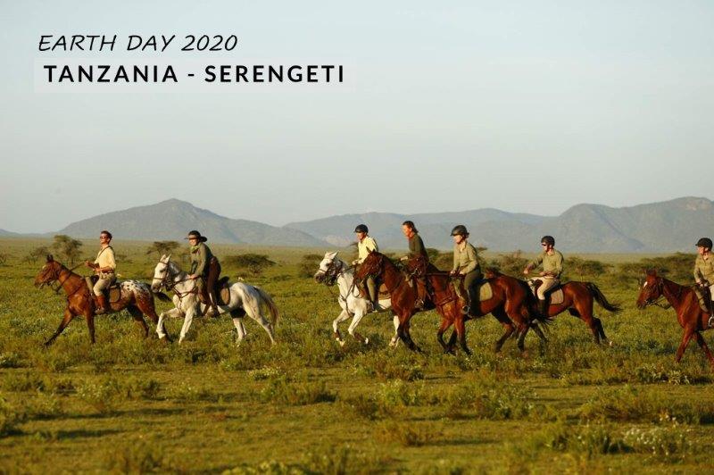 horses galloping in Serengeti