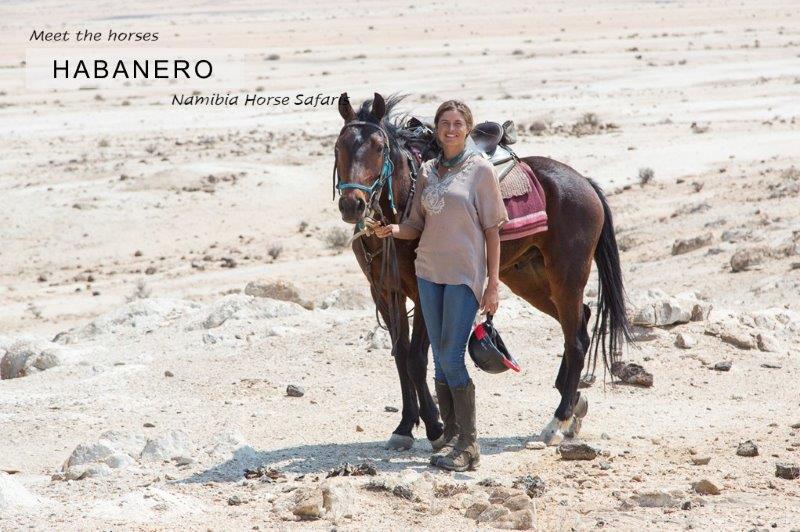 Girl standing with bay horse in desert