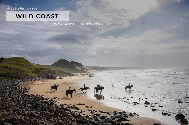 horse riding on the beach of the Wild Coast