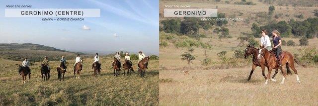 safari horses in Kenya