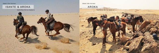 Chestnut horses racing in the desert