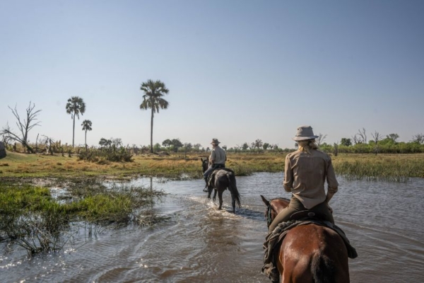 Horse riding in the Okavango Delta