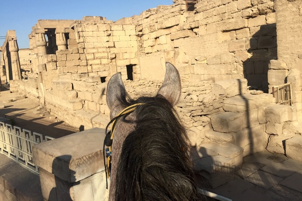 Egyptian ruins through horses ears