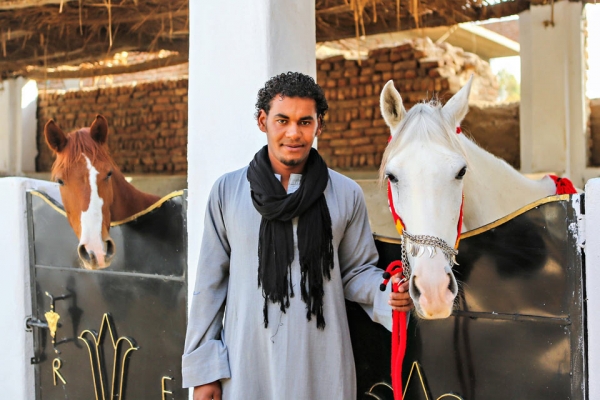 Man in Egyptian attire with 2 horses in stables