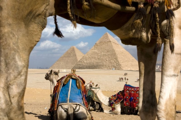 Egypt - Riding in Cairo (43)