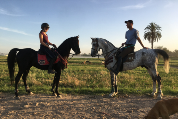 Horse Riding Holidays in Egypt (7)