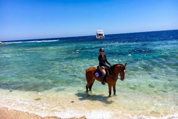 girl riding horse in Red Sea