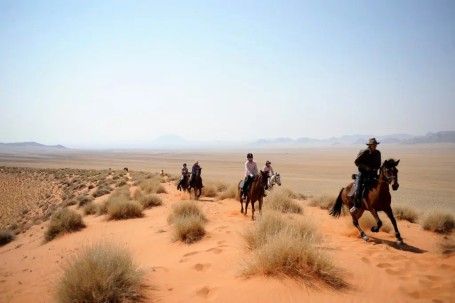 horses cantering in Namib Desert