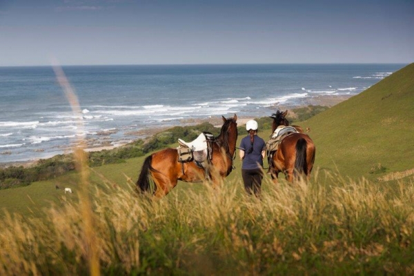 girl holding 2 horses overlooking the ocean