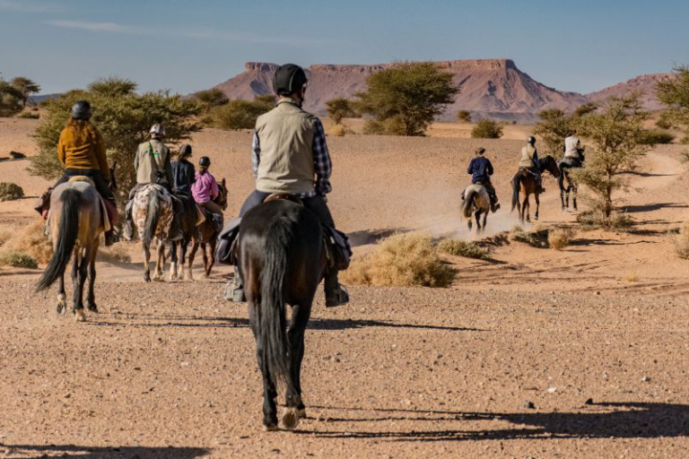 Horse riding in Morocco