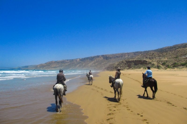 Horse Riding Essaouira Beach Morocco