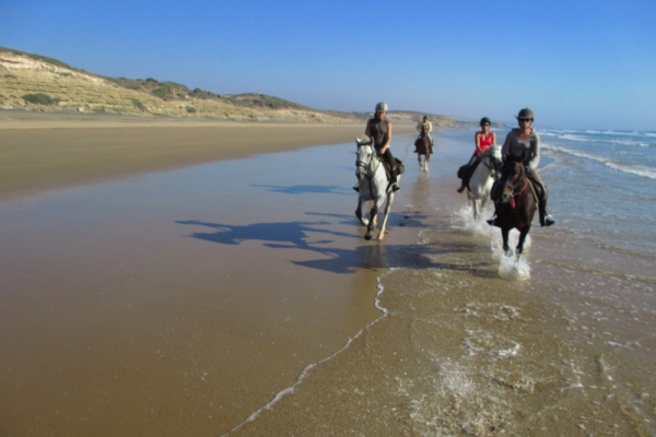 Horse riding on Essaouira Beach Morocco