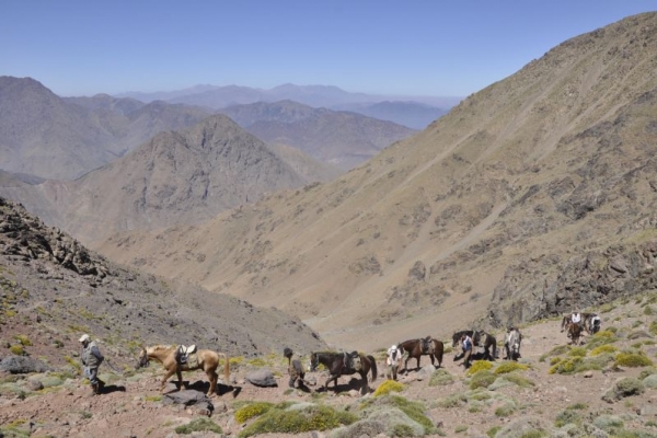 Horse riding in the High Atlas Mountains