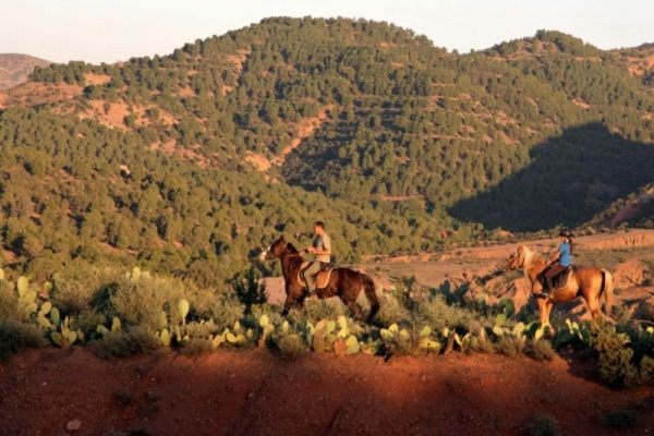 Horse riding in the Moroccan Desert