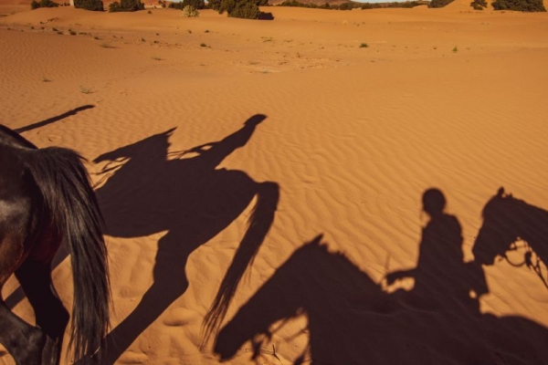 Horse shadows in the desert