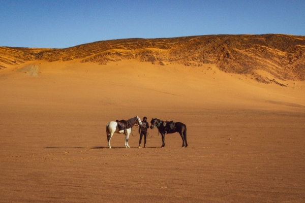 Horse riding in Sahara desert