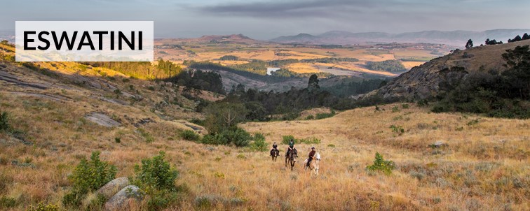 Horse riding in Eswatini