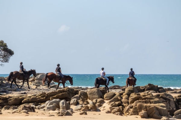 AHS Wild Coast Horse Trails South Africa 23 (11) Horse riding on the Wild Coast of South Africa