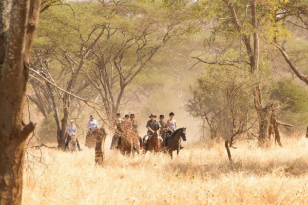 Horse riding in Hwange Zimbabwe