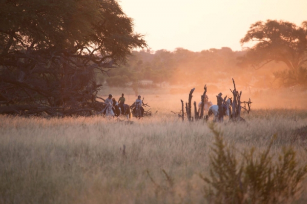 Horse riding in Hwange Zimbabwe