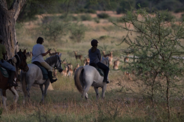 Horse riding in Hwange Zimbabwe