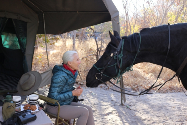 old woman kissing black horse