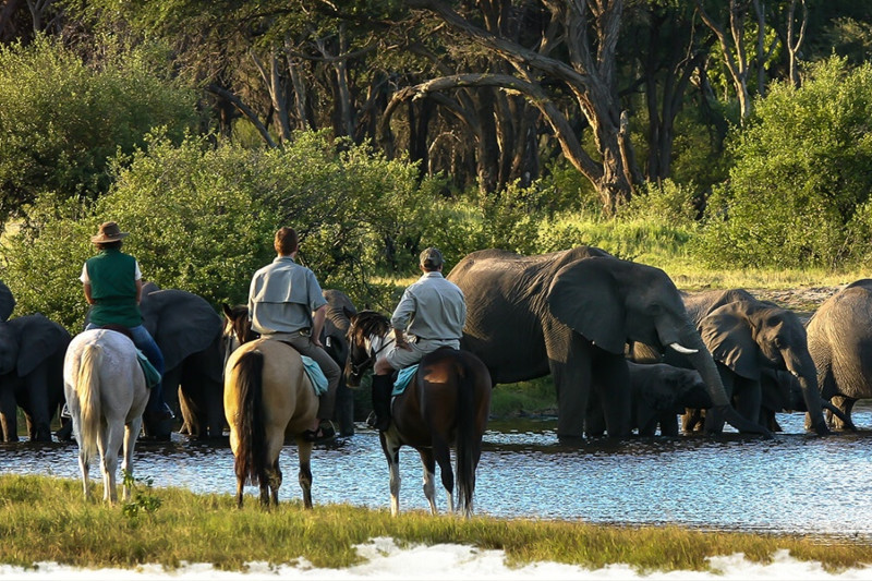 Horse riding with elephant in Zimbabwe