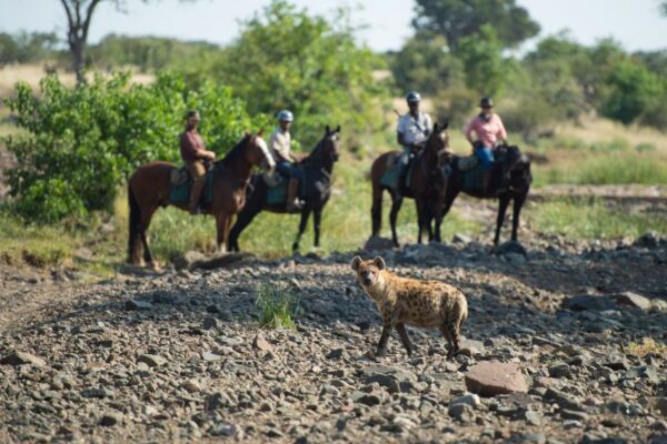 African Horse Safaris - Tuli Horse Safari Botswana (11) Horse riding in the Mashatu Tuli Botswana