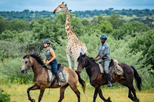 African Horse Safaris - Tuli Horse Safari Botswana (18) Horse riding in the Mashatu Tuli Botswana